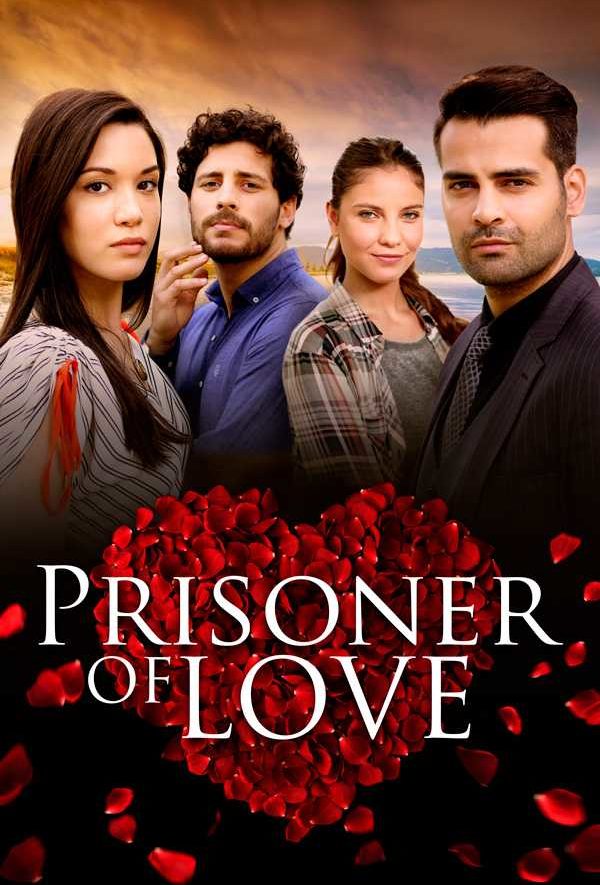 Prisoner Of Love Turkish Series With English Subtitles